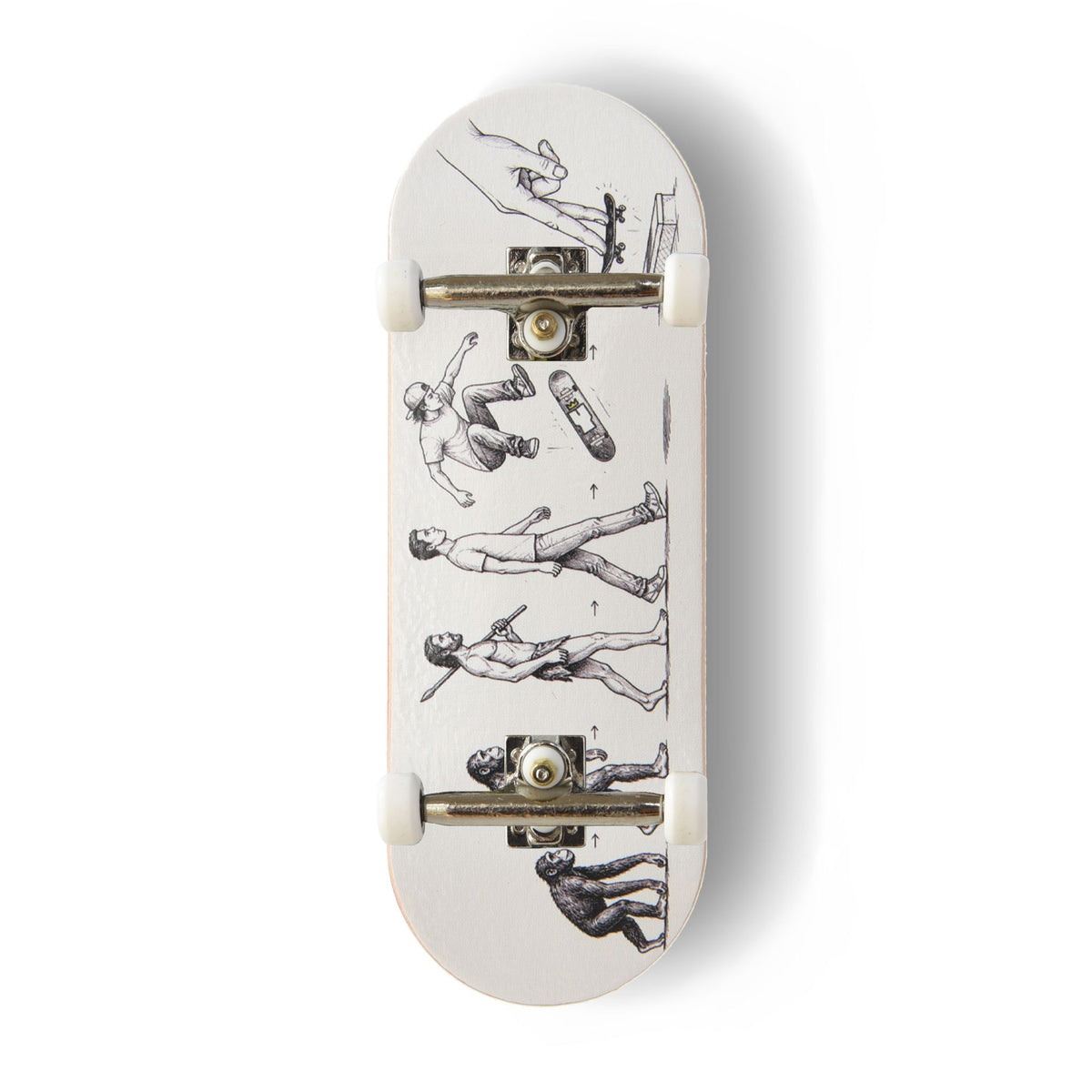 A Yurt fingerboard complete with silver trucks and white wheels, consisting of a 5-ply maple deck with a Real Wear graphic design featuring black anatomical sketches of the evolution of man with ape to human figures in various poses.